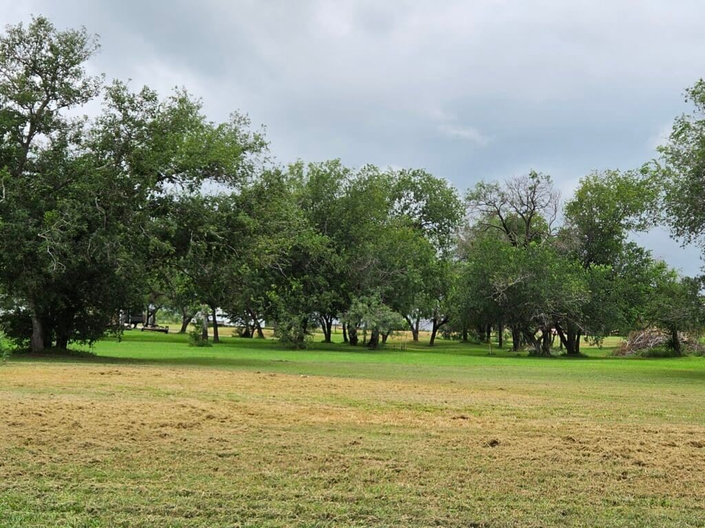 campground near jourdanton tx