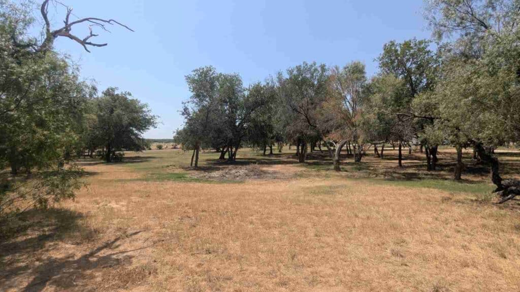 rv camping near san antonio tx​