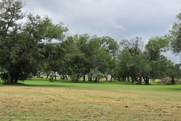 A Country Breeze RV Park RV park in Somerset, TX (photo 4)